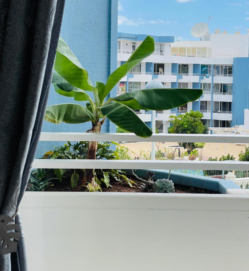 Estrella Apartment San Miguel de Abona Bagian luar foto